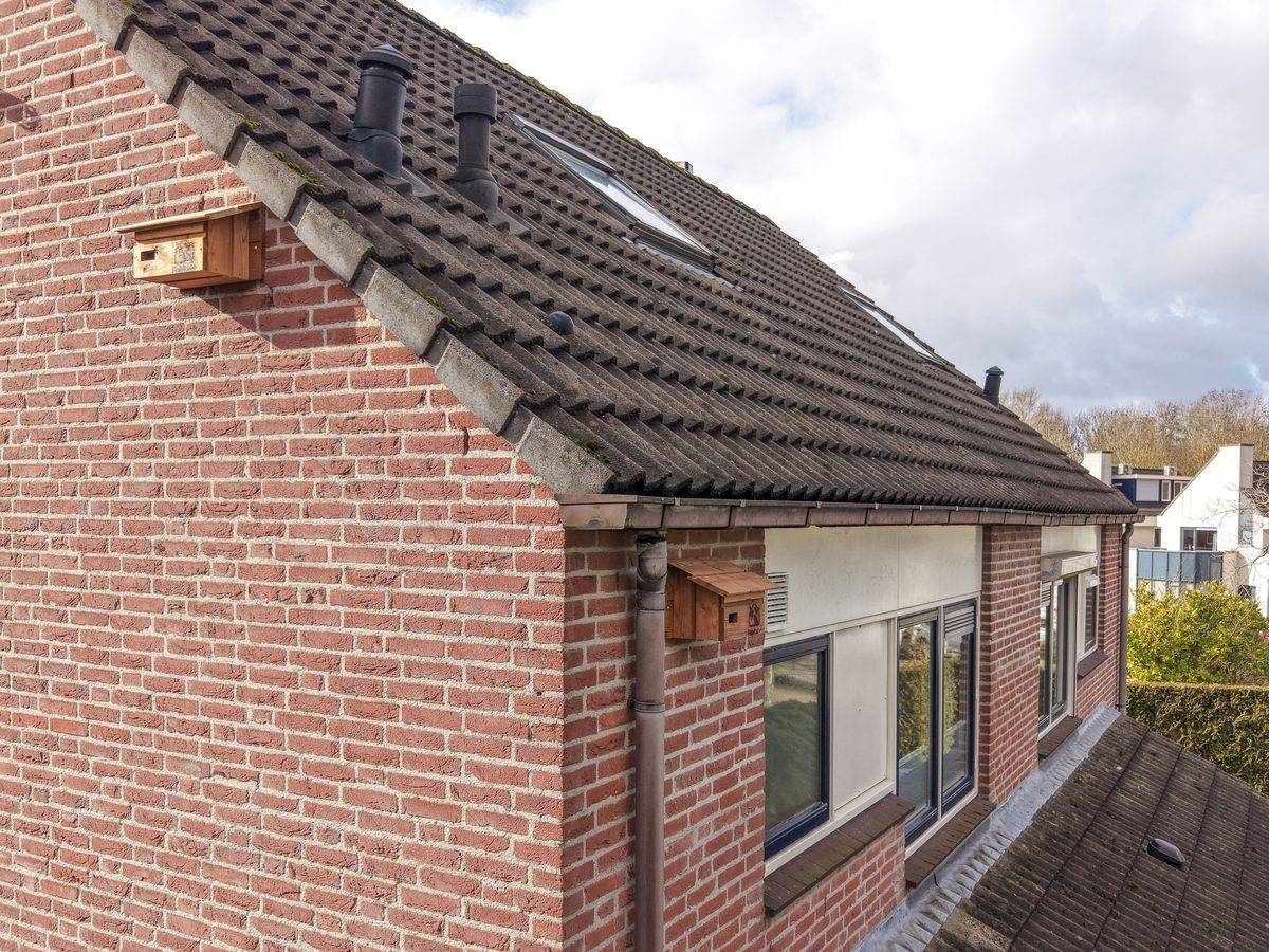 Twee houten nestkasten gemonteerd op de kopgevel van een woning