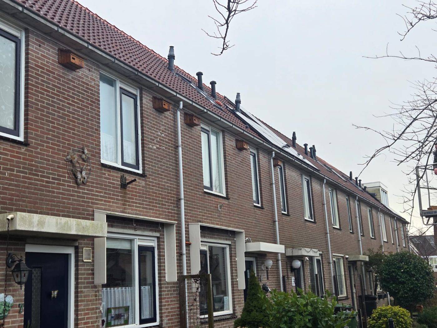 Rij woningen met meerdere houten nestkasten langs de gevels